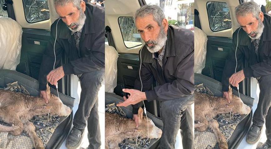 Batman’da besici, hastalanan buzağısına bagajda serum takıp başında uzun hava okudu