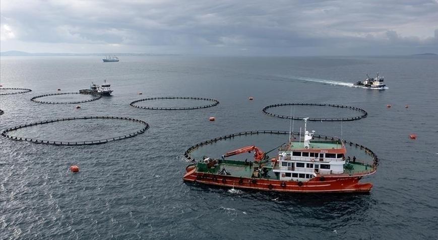 Karadenizin su ürünleri ihracat geliri 28 milyon doları aştı