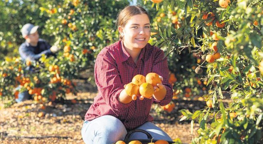 Çiftçi sayısı beş yılda 190 bin arttı