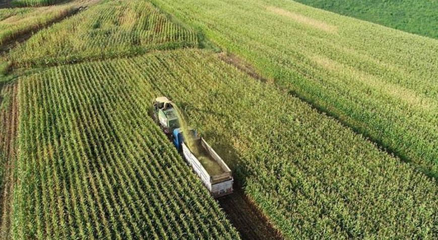 Kırsalda kalkınma 3 yılda yaklaşık 65,5 milyar liralık yatırımla desteklenecek