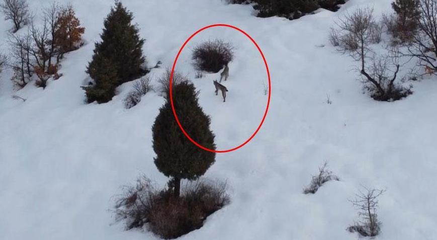 Kırmızı listede Erzincanda ortaya çıktılar: Karların içinde inanılmaz manzara