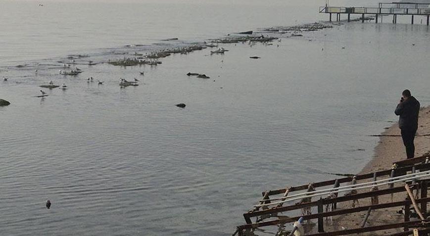 Tekirdağda sular çekildi, denizin dibinden çıktı