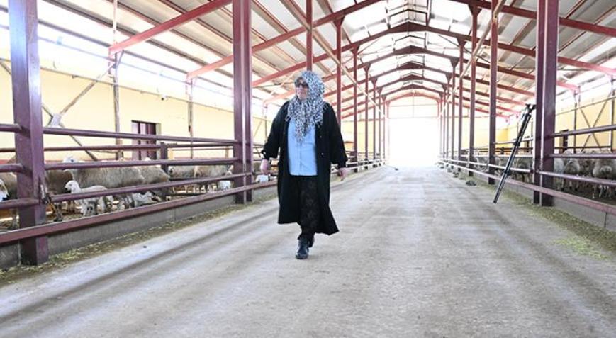 Muhasebeciliği bırakıp memleketine döndü Hibe desteği ile hayali gerçek oldu: En güzel şey çalışmak