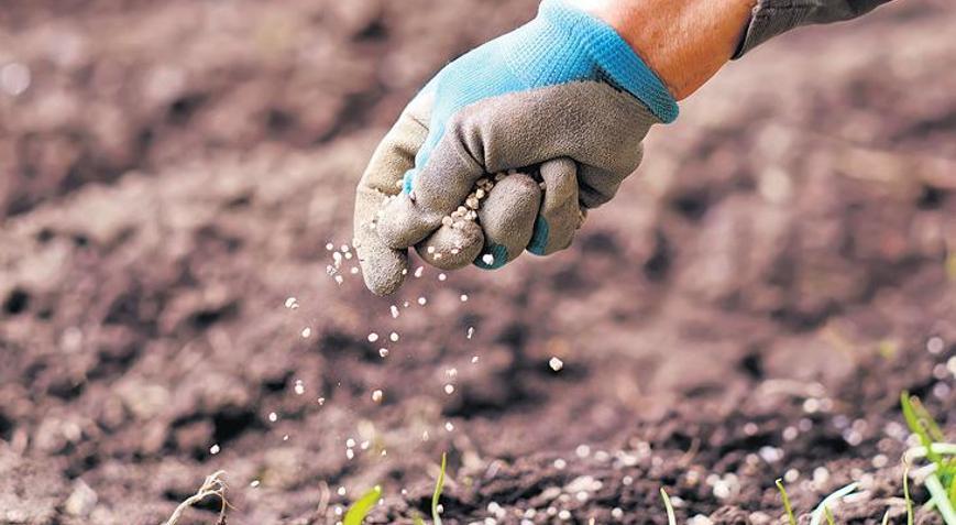 Gübre savaşa takıldı sofrada fiyatlar arttı