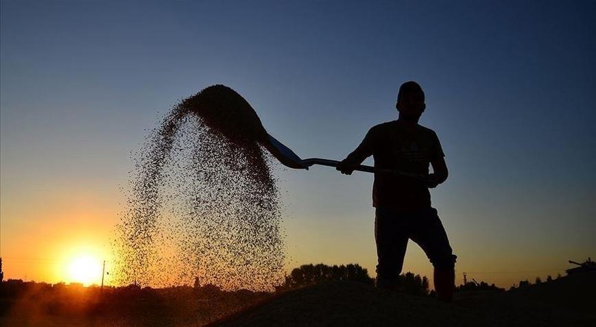 Çiftçilere 10,7 milyar liralık tarımsal destekleme ödemesi bugün yapılacak