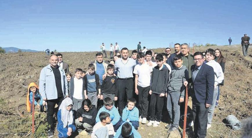 Zeytin fidanları toprakla buluştu
