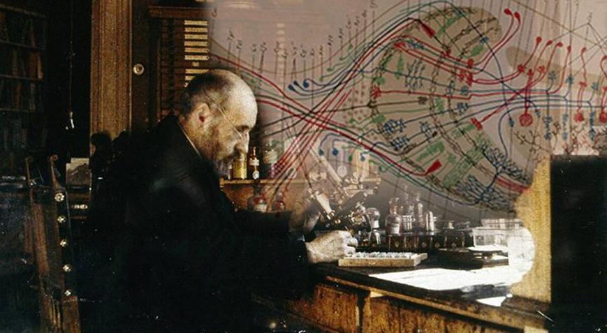 Boya kalemleriyle insan beynini keşfetti Resim tutkusu ilham verdi, Nobele uzandı