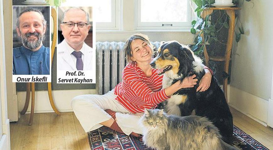 Evcil hayvanlar pasif içiciliğin gizli mağduru