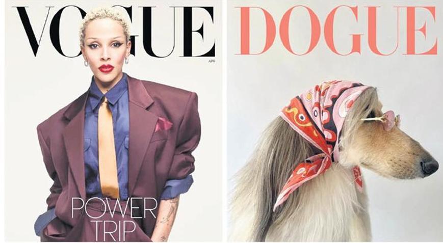 Vogue’dan Dogue davası