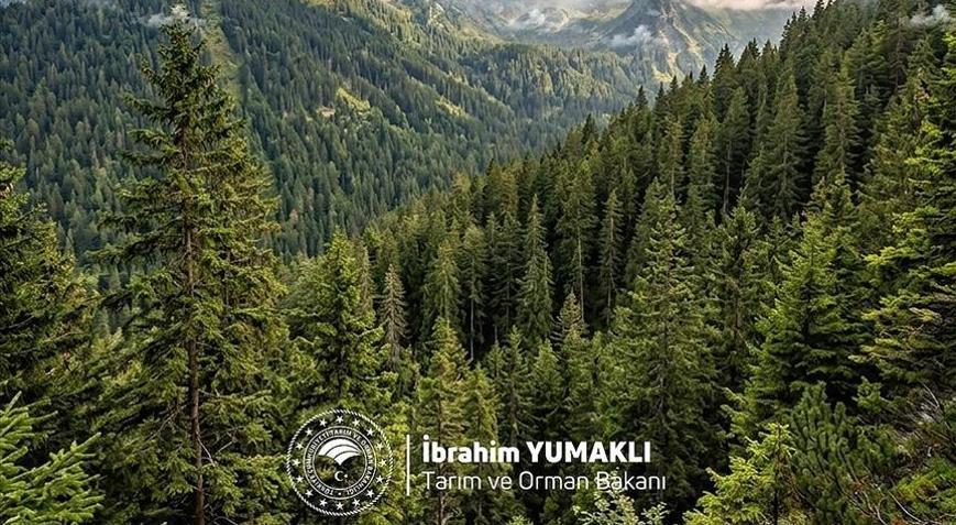 Bakan Yumaklı, Dünya Ormancılık Günü ve Orman Haftasını kutladı