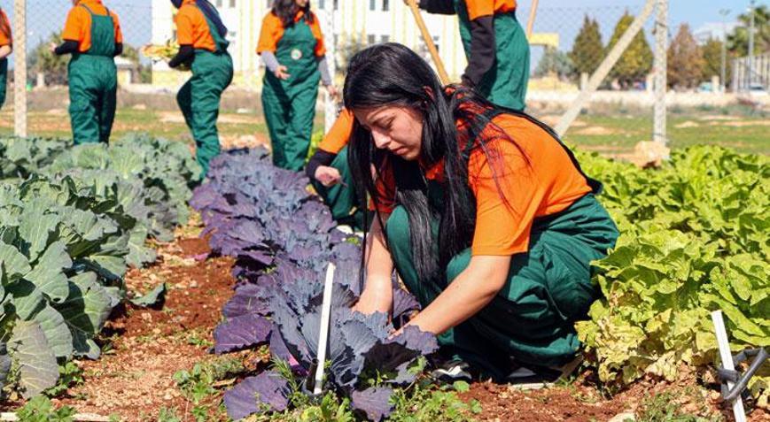 Çukurova’da geleceğin ziraatçileri tarım lisesinde yetişiyor