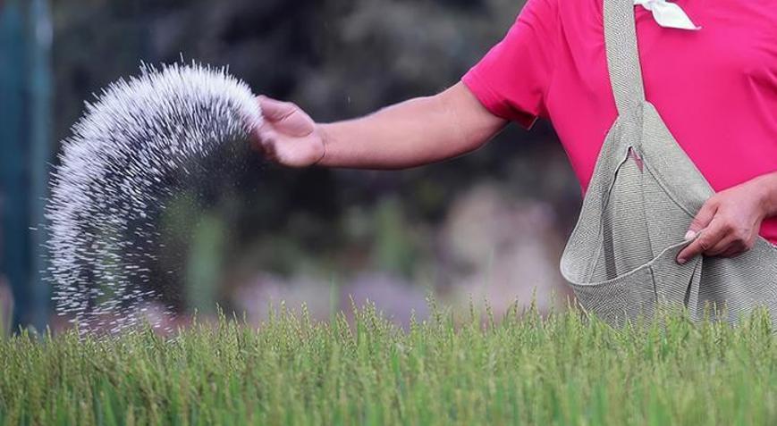 Hürmüz krizi küresel gübre arzını tehdit ediyor