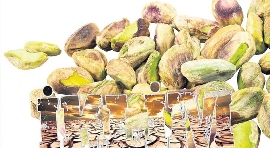 Savaş var ama asıl sorun iklim