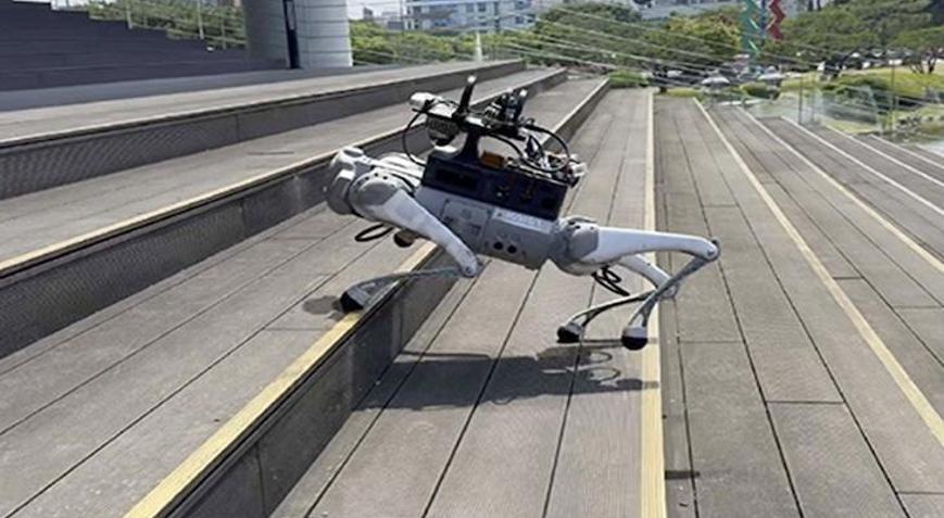 Robotlar engelleri hayvanlar gibi hareket ederek geçmeye başladı