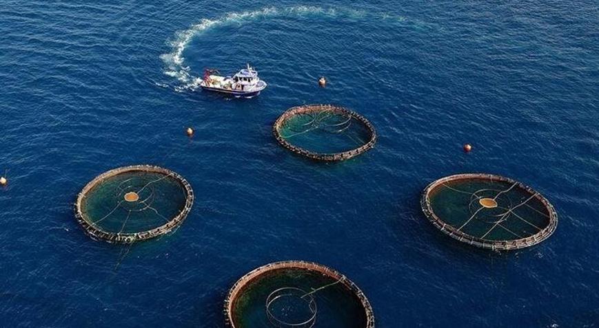 Karadenizin su ürünleri ihracatı 85 milyon doları aştı
