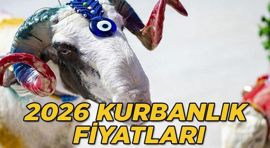 KURBANLIK FİYATLARI 2026: Bu yıl büyükbaş ve küçükbaş kurbanlık fiyatları ne kadar, kilogram kaç TL Koç, dana, koyun, küçükbaş ve büyükbaş kurbanlık fiyatları