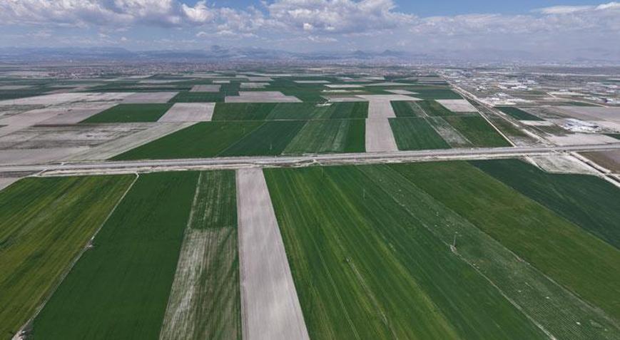 Hububatta 500 bin ton rekolte artışı bekleniyor