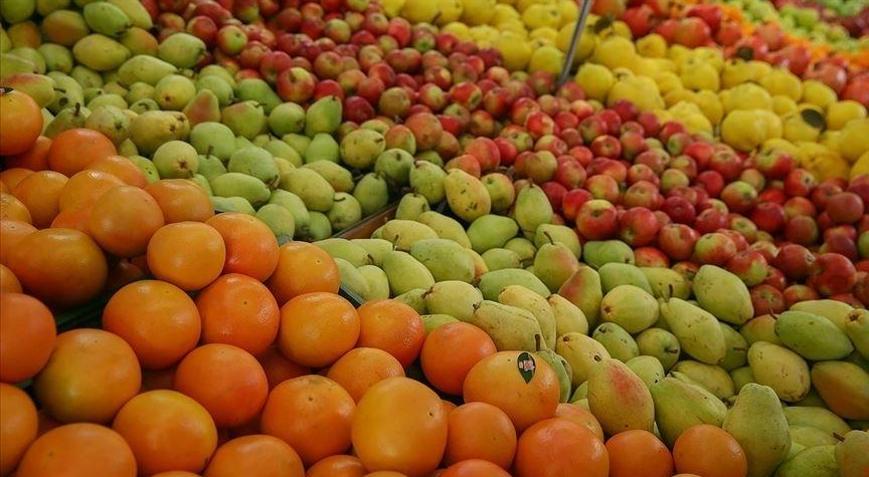 Niğdede meyve ve sebze işleme tesisi yatırımlarına özel teşvik