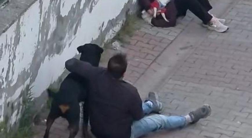 Ümraniye’de ağızlıksız gezdirilen rottweiler, küçük ırk köpeğe saldırdı