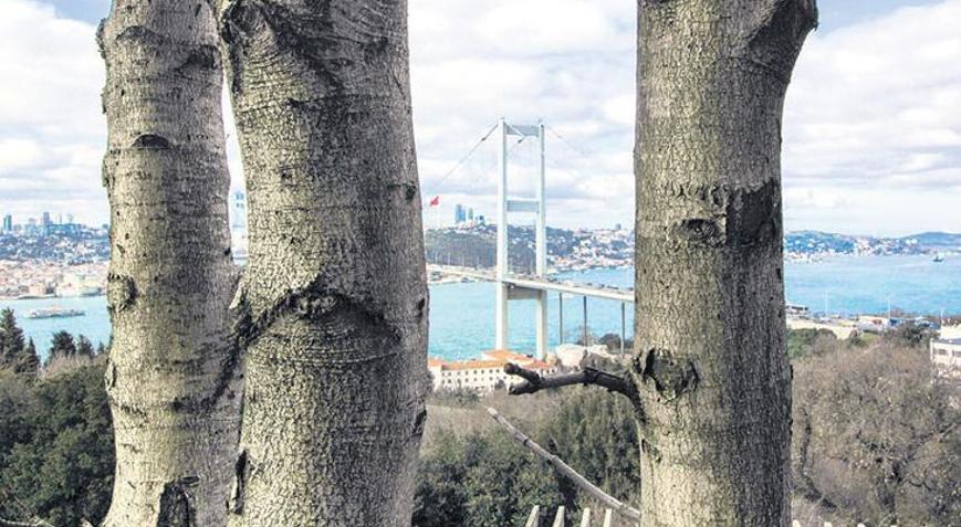 Gençler İstanbul’a bakınca ne görüyor