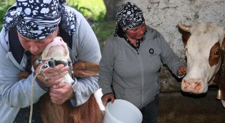 Gürcistan’dan Erzincan’a gelin geldi Türkçeyi öğrendi, hayvancılığa başladı