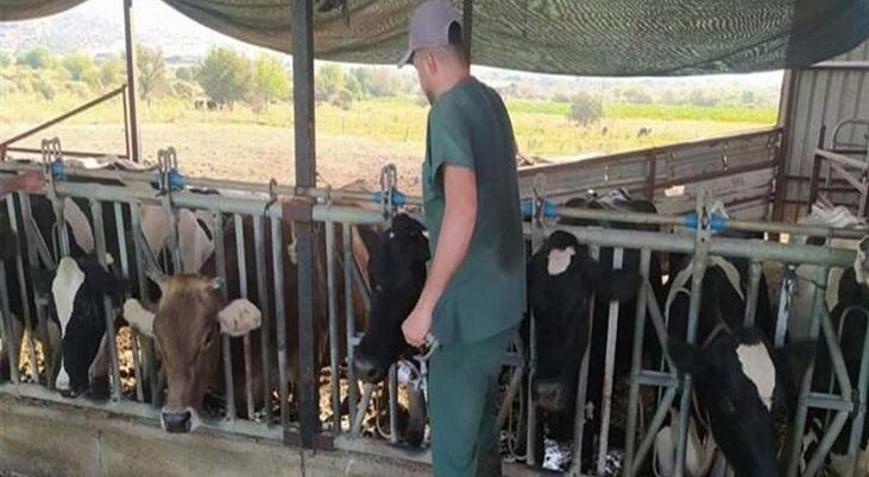 Aydın’da 17 mahallede karantina tedbirleri alındı Hayvan giriş çıkışı yasak