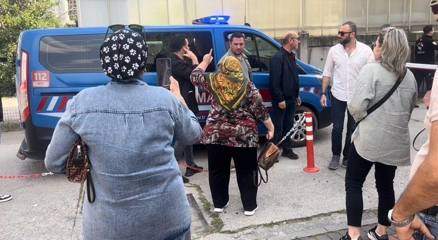 Tasmalı köpeğe vahşet Demir çubukla öldürüp sürükledi: Tutuklandı