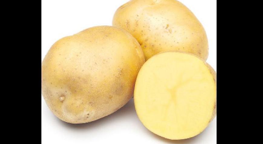 Avrupa’da patates şoku