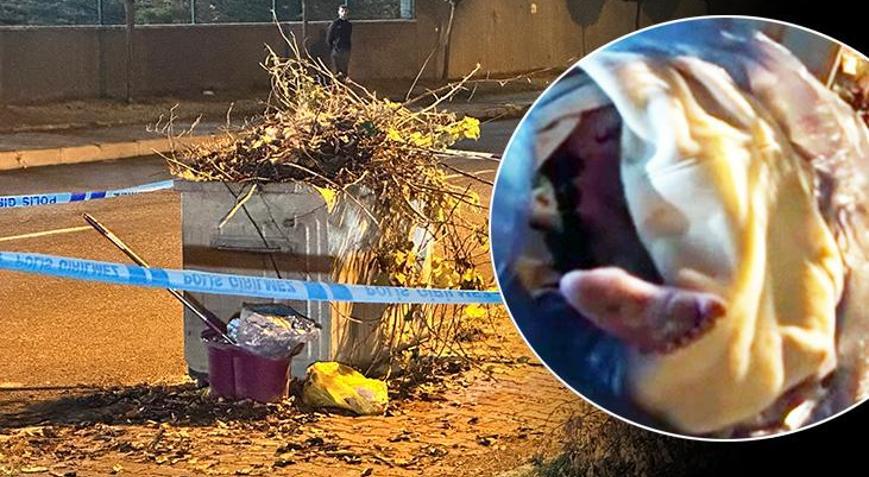 Tuvalette doğurduğu bebeğini çöpe atan annenin cezası belli oldu