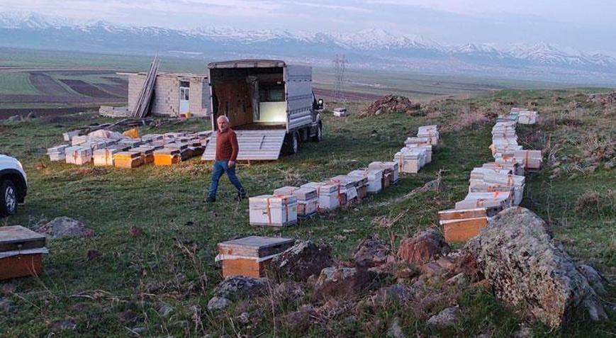 Karadenizin gezgin arıcıları rotayı değiştirdi: Müşteri sıkıntısı yaşamıyoruz