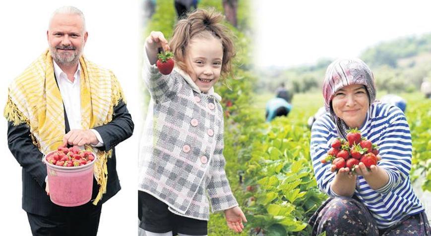 Mis kokulu festival yarın başlıyor