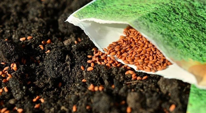 Türkiyenin sertifikalı tohum ihracatı 20 yılda yaklaşık 8 katına çıktı