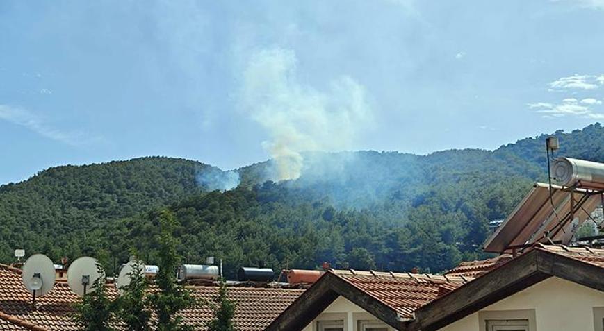 Muğlada orman yangını