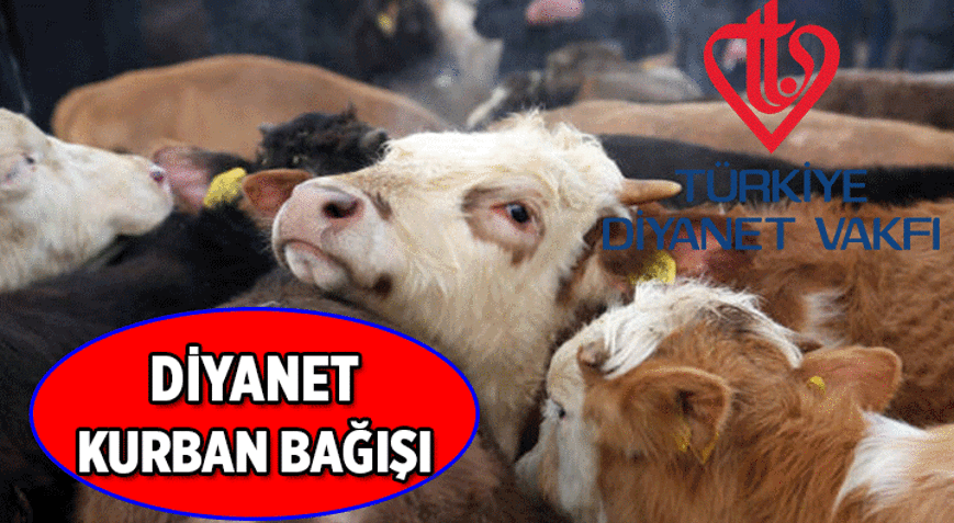Türkiye Diyanet Vakfı duyurdu 📍 Kurban Bağışı nasıl yapılır 2026 Diyanet kurban bağışı ne kadar İşte yurt içi ve yurt dışı kurban bağışı fiyatları