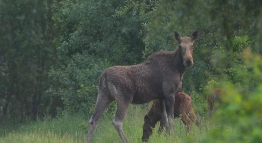Büyük felaketin ardından herkes terk etmişti Bölgede dikkat çeken hareketlilik: 20 bine yakın var