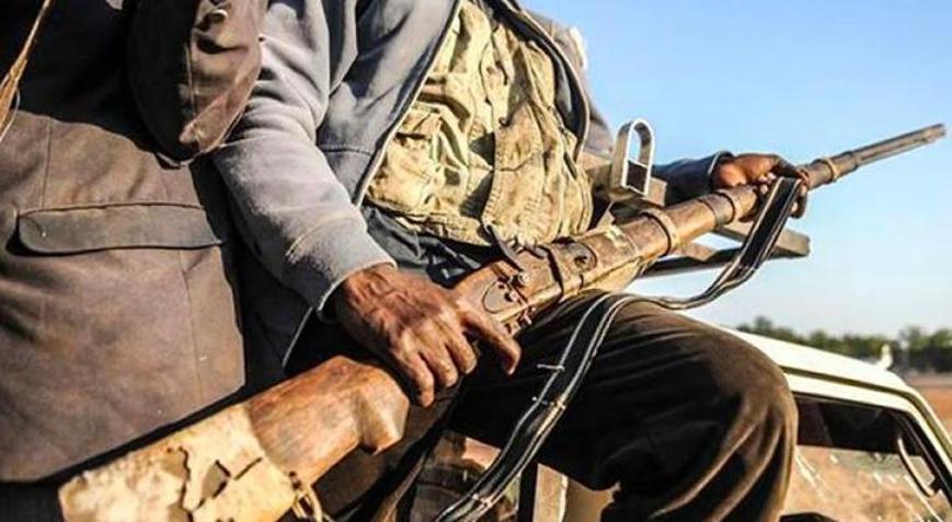 Nijeryada bu ay 317 terörist ve silahlı çete üyesi etkisiz hale getirildi