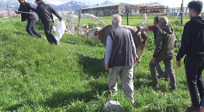 Kurban kesimi faciaya döndü Kalp krizi geçiren 2 kişi hayatını kaybetti