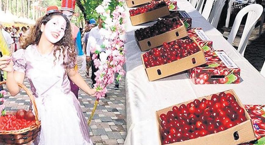 Kemalpaşa Altın Kiraz’la coşacak