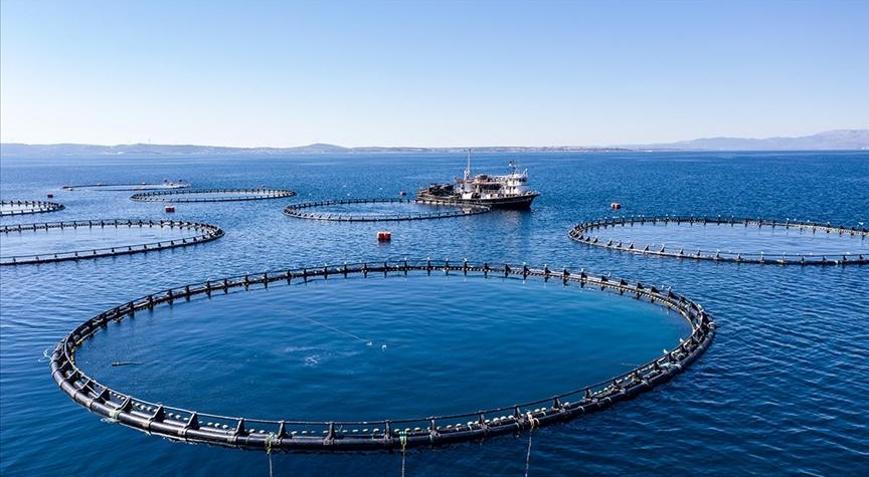 Türkiye geçen yıl 133 ülkeye 2,2 milyar dolarlık su ürünleri ihraç etti