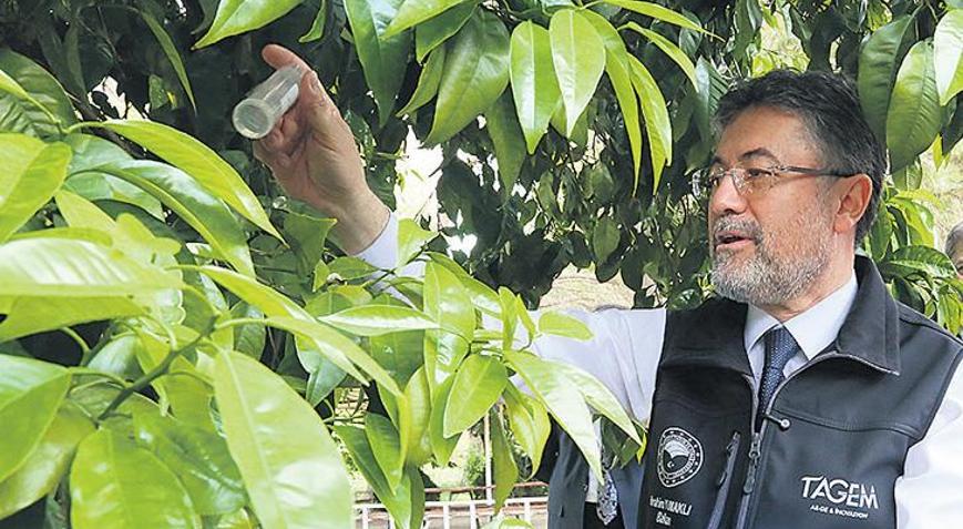 Bakan Yumaklı: 17 farklı türde 39 yeni bitki çeşidi tescil edildi Tohumda bağımsız Türkiye