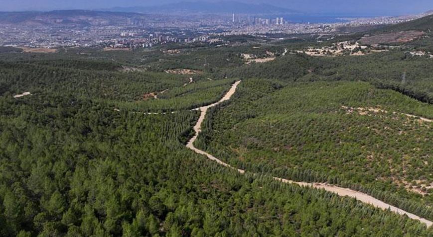 İzmir Valiliği tarih vererek duyurdu Ormanlık alanlara giriş yasaklandı
