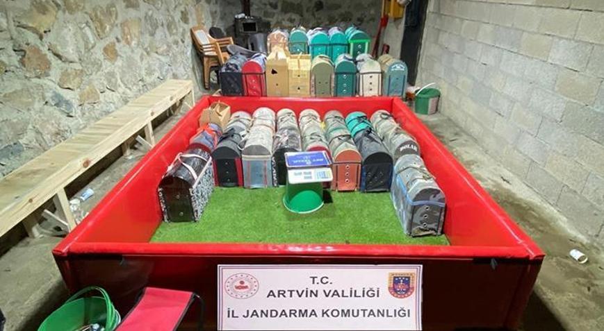 Artvin’de horoz dövüşü baskını Bahis defteri çıktı, ceza yağdı
