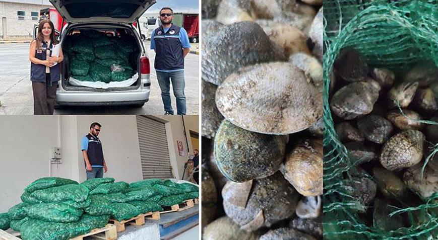 Kapıkule Sınır Kapısında kaçak akivades operasyonu Kesilen ceza dudak uçuklattı