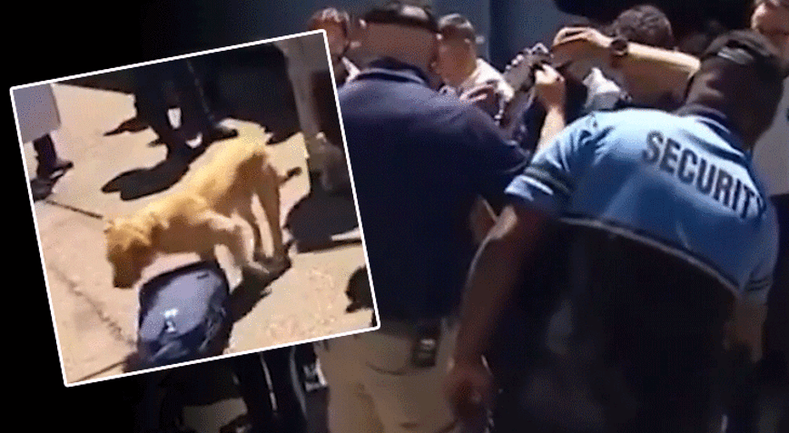 Senegal ve Özbekistan milli takımlarına ABD'de şok! Polis köpekleri ile arama