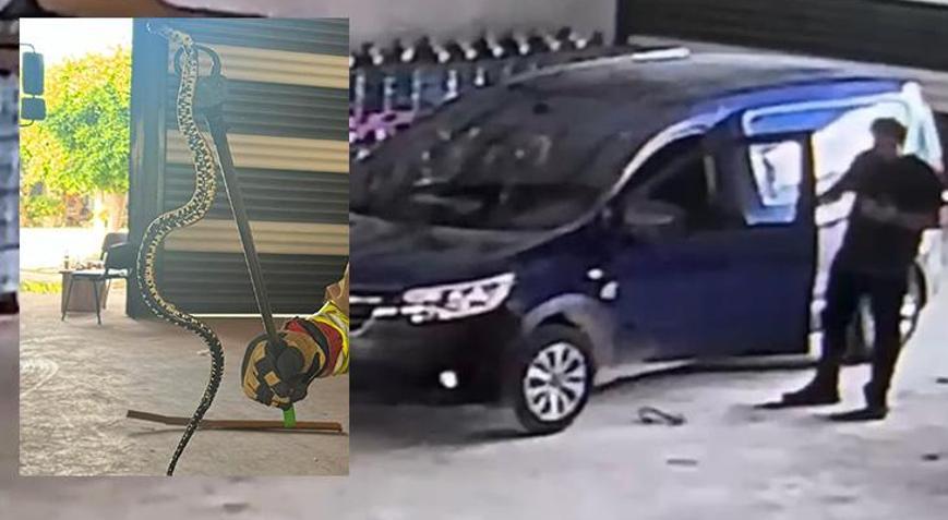 Yer: Hatay Hafif ticari araca giren yılan paniğe neden oldu