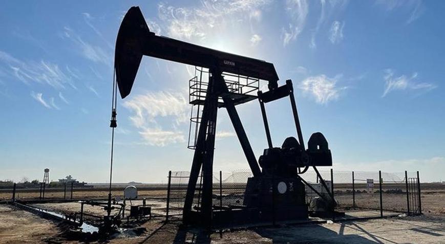TPAOnun Siirtteki petrol arama ruhsatının süresi uzatıldı