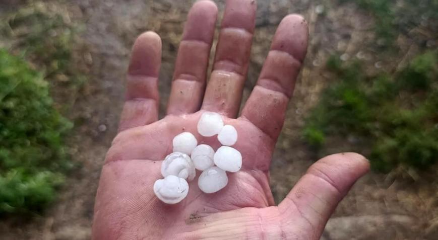 Üreticinin emeğini dolu vurdu 25 dakikalık yağış Eber kirazına büyük hasar verdi