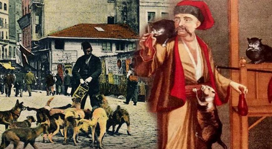 Osmanlıda kedi beslemek bir meslekti Avrupanın hayran kaldığı Mancacıların öyküsü