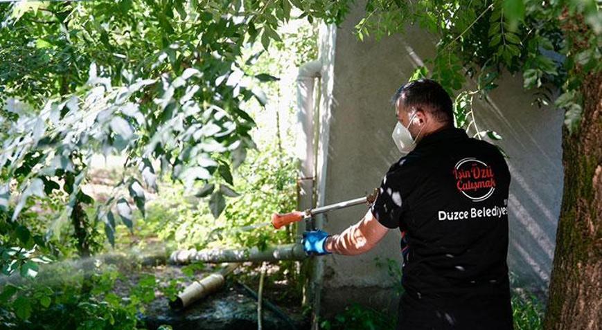 Düzcede Asya Kaplan sivrisineği uyarısı