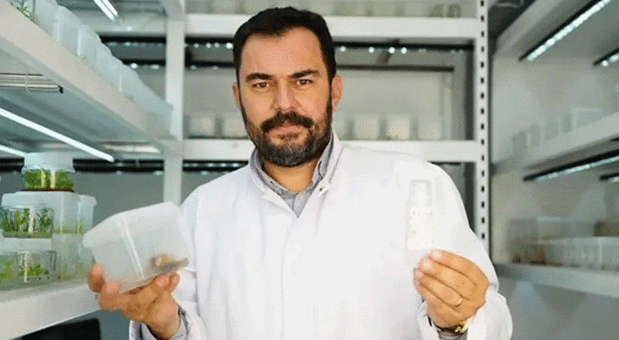 Çocukluk merakı bilimsel başarıya dönüştü Diş otu bitkisinden kırışıklık karşıtı krem geliştirdi